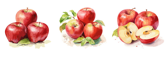 Apples, watercolor painting style illustration. Vector set.