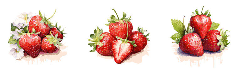 Strawberries, watercolor painting style illustration. Vector set.