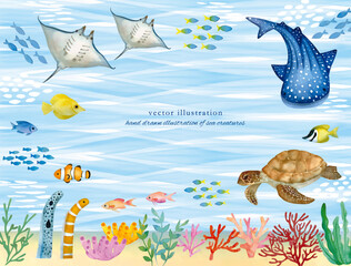水彩手書きの海の生き物 © fuufuu
