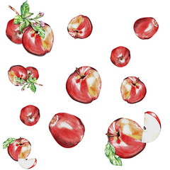 watercolor set. a red, juicy, ripe apple. for the design of postcards, packages