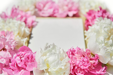 Beautiful frame with floral pions background. Free space