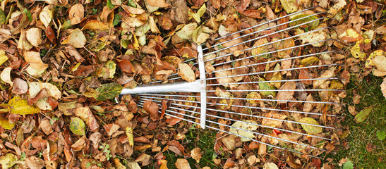 metal rake on a pile of autumn leaves in the garden