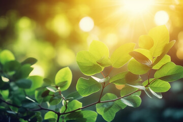 Obraz premium Branch with green leaves in sunlight, bokeh effect. Summer background. Ai generated