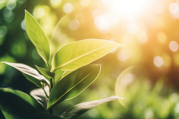 Summer nature background. Ai generated