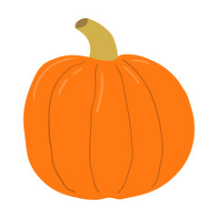 Pumpkin, squash, autumn vegetable, Halloween hand drawn illustration. Cartoon style flat design, isolated vector. Autumn, fall, Thanksgiving, harvest festival, seasonal decoration, print element