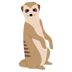 Meerkat Single 18 cute on a white background, vector illustration