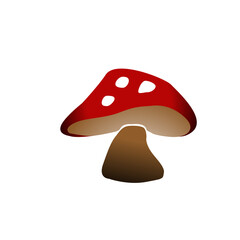 red and white mushroom
