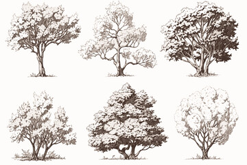 set of silhouettes of trees