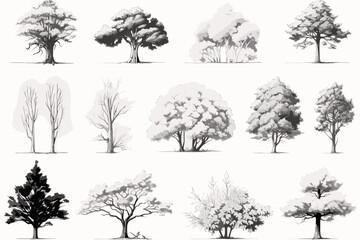 Fototapeta premium set of trees vector