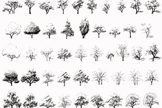 set of trees vector