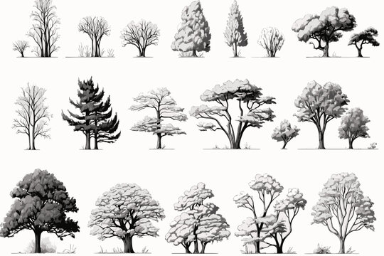 set of trees vector