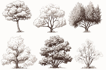 Obraz premium set of trees vector