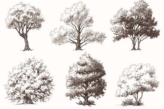 set of trees silhouettes