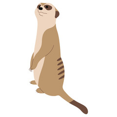 Meerkat Single 16 PNG