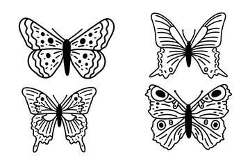 Plakat collection of butterflies vector 