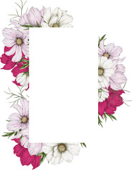 Frame of cosmos flowers