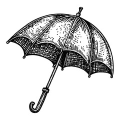 open umbrella vintage sketch