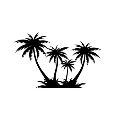 silhouette of palm tree
