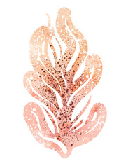 Set of watercolor floral illustrations. Collection of plant elements, feathers. compositions, wedding invitations, anniversaries, birthdays, postcards, congratulations, postcards
