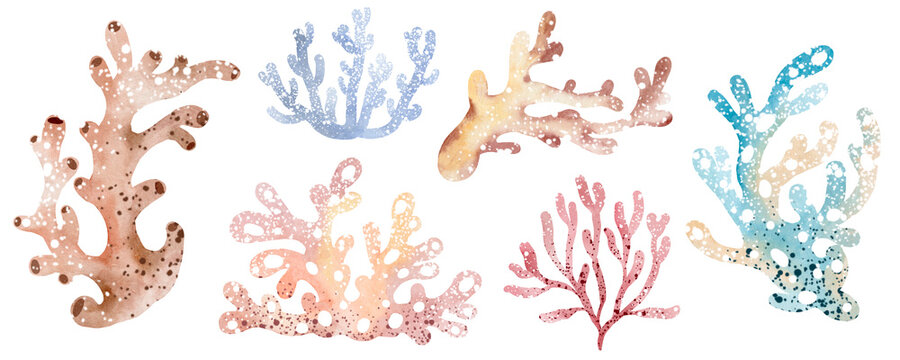 Watercolor illustration of underwater sea corals. Marine underwater plants. Illustration isolated on a white background. Postcard, sticker, sublimation.
