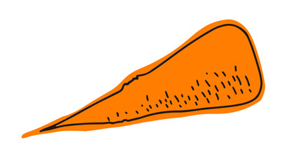 Vector autumn bright orange Carrot with black outline. Isolated Element for autumn festive designs, stickers, cards in autumn falling leaf colors on white background. Harvest festival. Lineart