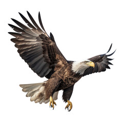 Fototapeta premium eagle in flight isolated on transparent background cutout