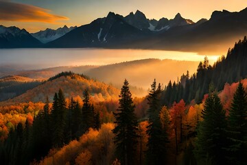 Naklejka na ściany i meble sunset in the mountains , autumn forest in the morning 