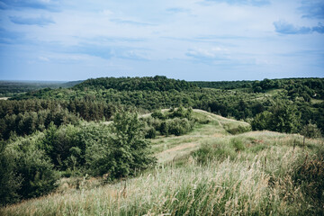 Fototapeta na wymiar beautiful landscape of field and sky, Ukrainian land in summer