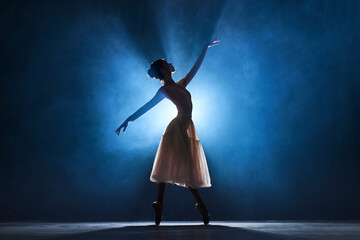 Silhouette of tender, graceful young woman, ballerina performing, dancing over dark blue background with spotlight