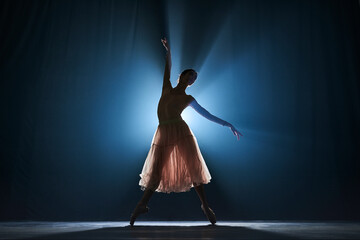 Elegant, graceful, slim female dancer, ballerina dancing over dark blue background with spotlight....
