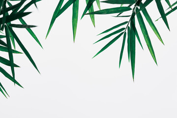 Closeup dark green bamboo leaf on white background using as background or fresh wallpaper concept