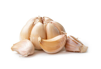 Single fresh white garlic bulb with segments isolated on white background with clipping path