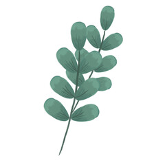 green leaf isolated on white