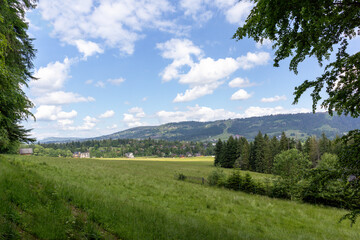 Nature view with green meadow and blue sky