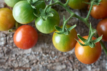 close-up of cherry tomatoes on textured surface, popular variety of tomato that is widely consumed around the world, small fruit with sweet and tangy flavor, selective focus with blurry background