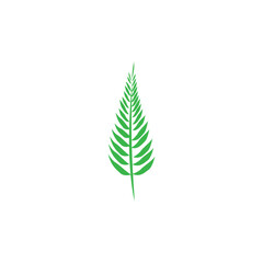 fern logo icon