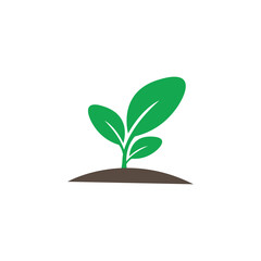 seed logo icon