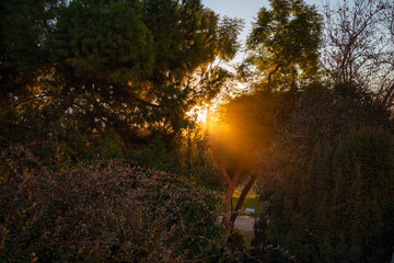 Beautiful scenery of the Turia park in Valencia at sunrise, Spain