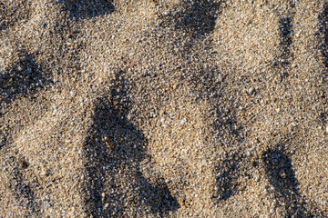 The texture of pure sand on the beach or in the desert. There is free space for the text.