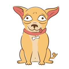 Funny cartoon dog breed purebred small chihuahua in flat style.