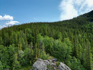 Fototapeta na wymiar Landscape photo of forest in mountains
