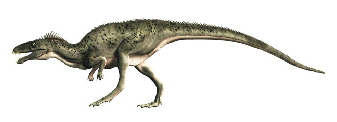 Masiakasaurus, a medium sized theropod of Cretaceous era Madagascar, depicted in profile, isolated on a white background. 3D Rendering 