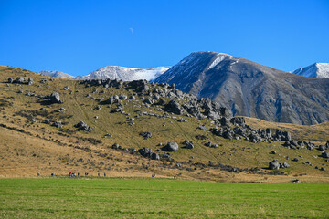Kura Tawhiti Conservation Area in Castle Hill, New Zealand © south west images