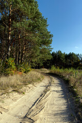 A garbage polluted highway in rural areas