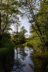 a small river in eastern Europe in the summer