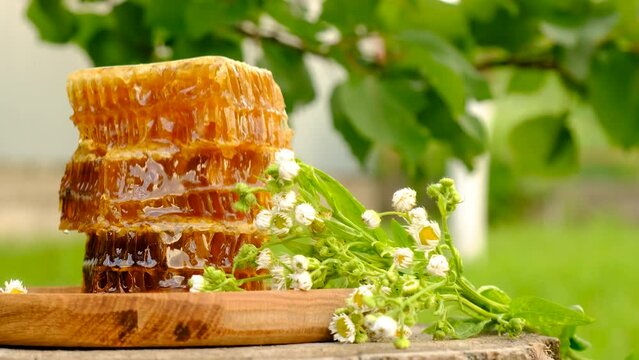 Harvest of honey in honeycombs in the garden. Selective focus.