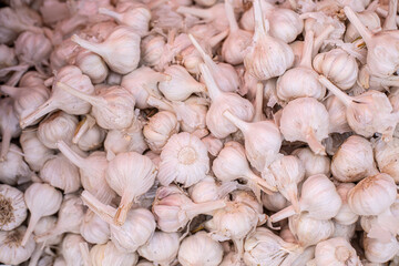 Close up of white garlic pile on table of Goa market in india. Organic and fresh spicy vegetable bulbs, background. 