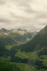 Paisaje verde en los Pirineos
