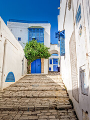 The village of Sidi Bou Said, Carthage, Tunisia - 620228699