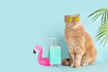 Funny cat wearing sunglasses going on vacation with blue suitcase and flamingo rubber ring. Summer vibes. Cat traveler, tourist. Summer travel concept. Tour operator promotion. Pet hotel. Copy space - obrazy, fototapety, plakaty